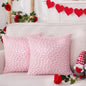 BLEUM CADE Valentines Day Pillow Covers Set of 4 I Love You Throw Pillow Covers 18 x 18 inch Happy Valentine Day Pillowcases for Anniversary Wedding