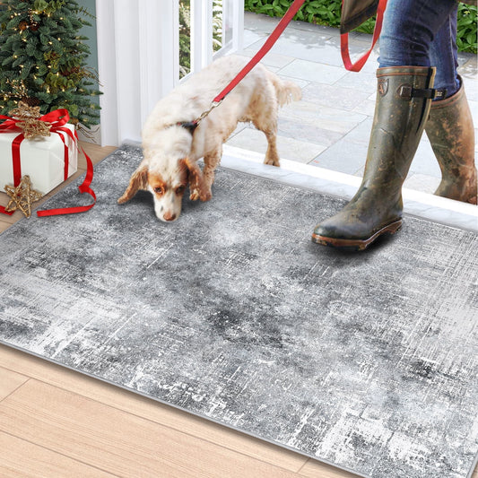 Bleum Cade 2x3 Doormat Area Rugs,Soft Washable Non Slip Bedroom Rug,Modern Abstract Grey Dinning Room Large Carpet